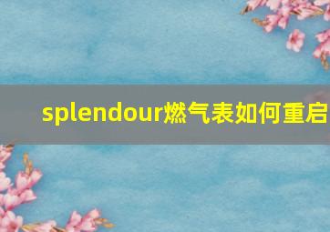 splendour燃气表如何重启