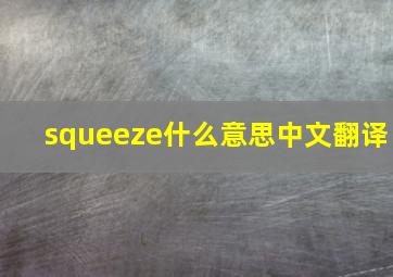 squeeze什么意思中文翻译