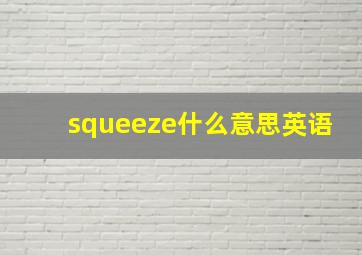 squeeze什么意思英语