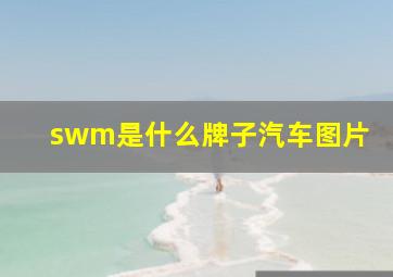 swm是什么牌子汽车图片