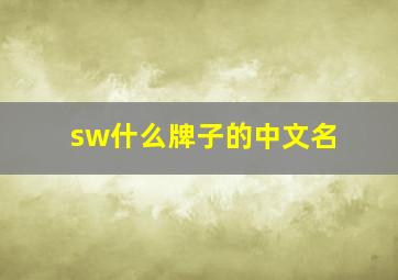 sw什么牌子的中文名