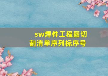 sw焊件工程图切割清单序列标序号