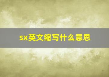 sx英文缩写什么意思