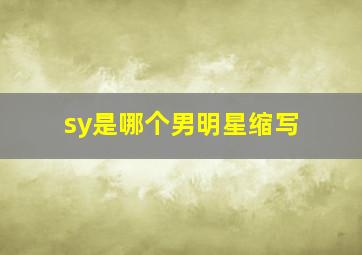 sy是哪个男明星缩写