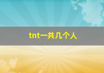 tnt一共几个人