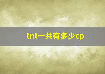 tnt一共有多少cp