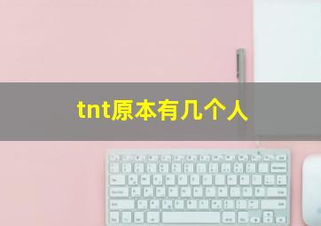 tnt原本有几个人