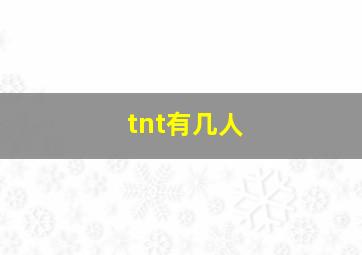 tnt有几人