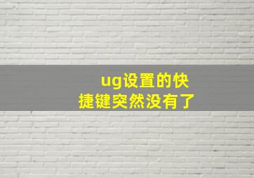 ug设置的快捷键突然没有了