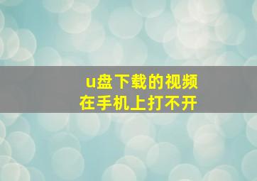 u盘下载的视频在手机上打不开