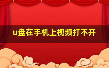 u盘在手机上视频打不开