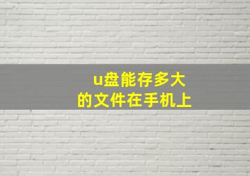 u盘能存多大的文件在手机上