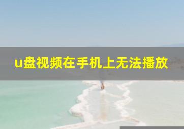 u盘视频在手机上无法播放