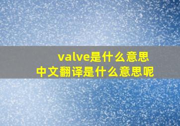 valve是什么意思中文翻译是什么意思呢