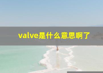 valve是什么意思啊了