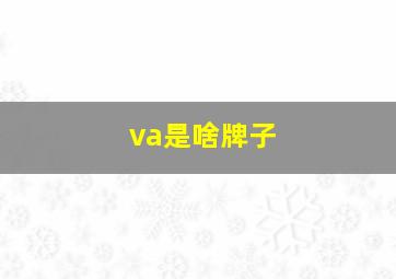 va是啥牌子