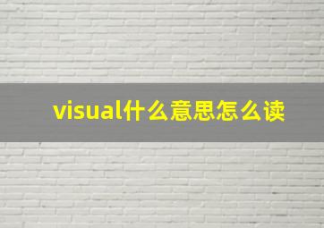 visual什么意思怎么读