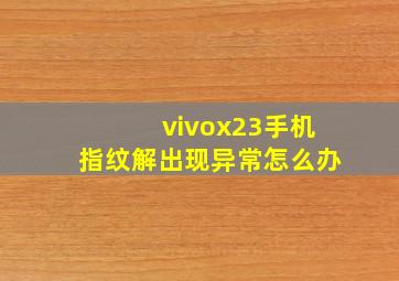 vivox23手机指纹解出现异常怎么办