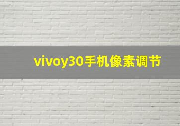 vivoy30手机像素调节