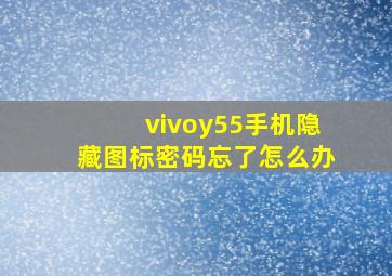 vivoy55手机隐藏图标密码忘了怎么办