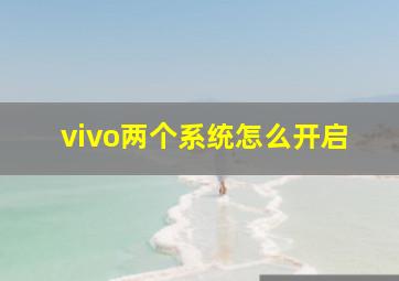 vivo两个系统怎么开启