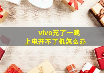 vivo充了一晚上电开不了机怎么办