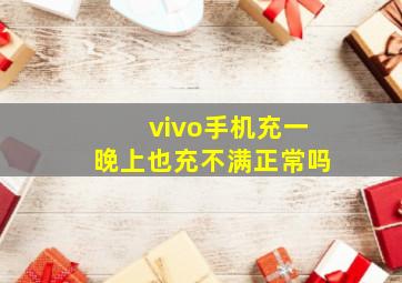 vivo手机充一晚上也充不满正常吗