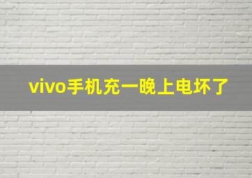 vivo手机充一晚上电坏了