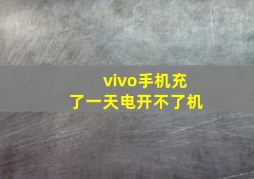 vivo手机充了一天电开不了机