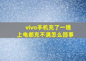 vivo手机充了一晚上电都充不满怎么回事