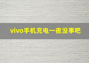 vivo手机充电一夜没事吧