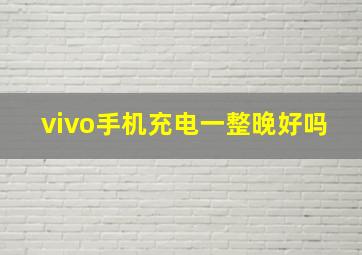 vivo手机充电一整晚好吗