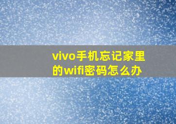 vivo手机忘记家里的wifi密码怎么办