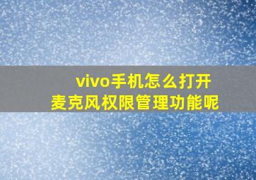 vivo手机怎么打开麦克风权限管理功能呢