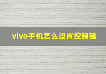 vivo手机怎么设置控制键