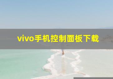 vivo手机控制面板下载