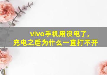 vivo手机用没电了,充电之后为什么一直打不开