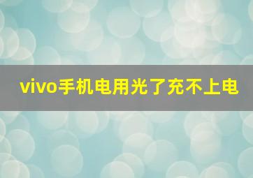 vivo手机电用光了充不上电