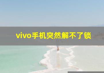 vivo手机突然解不了锁