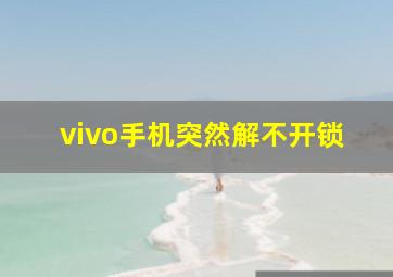 vivo手机突然解不开锁