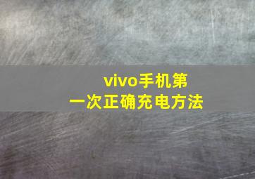 vivo手机第一次正确充电方法