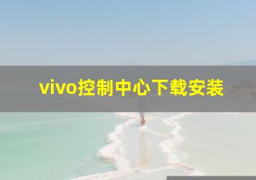 vivo控制中心下载安装