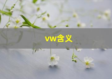 vw含义