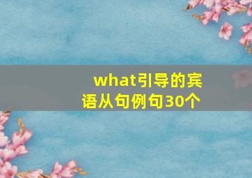 what引导的宾语从句例句30个