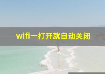 wifi一打开就自动关闭