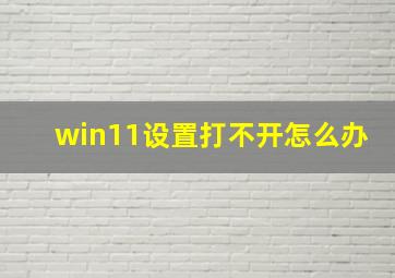 win11设置打不开怎么办