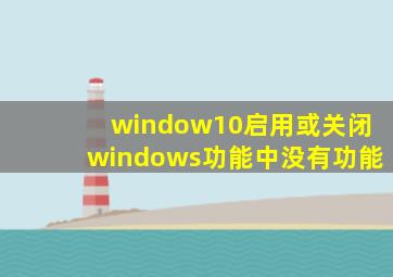 window10启用或关闭windows功能中没有功能