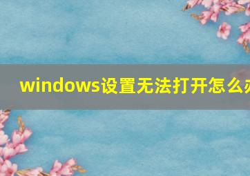 windows设置无法打开怎么办