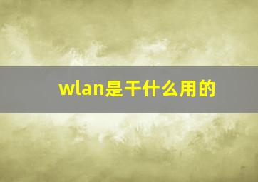 wlan是干什么用的