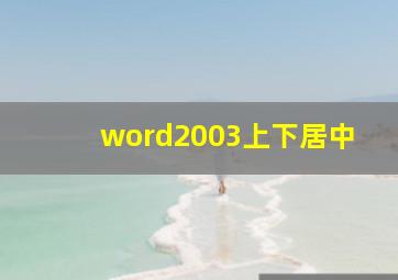 word2003上下居中